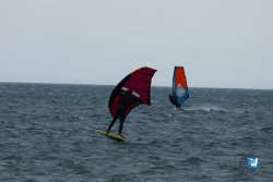 20250426-Franqui-wing-025.jpg