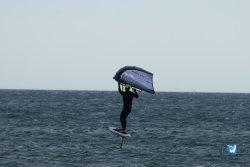 20250426-Franqui-wing-040.jpg