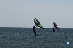 20250426-Franqui-wing-044.jpg