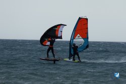 20250426-Franqui-wing-049.jpg