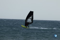 20250426-Franqui-wing-055.jpg