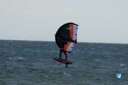 20250426-Franqui-wing-064.jpg
