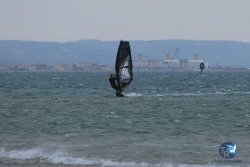 20250426-Franqui-wing-066.jpg