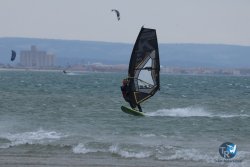 20250426-Franqui-wing-068.jpg