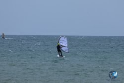20250426-Franqui-wing-078.jpg