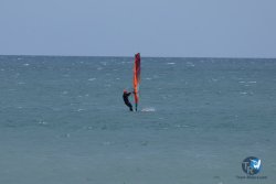 20250426-Franqui-wing-080.jpg
