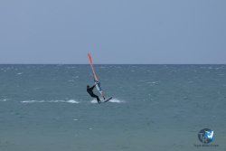 20250426-Franqui-wing-081.jpg