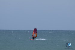 20250426-Franqui-wing-082.jpg