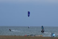 20250426-Franqui-wing-083.jpg