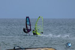 20250426-Franqui-wing-084.jpg