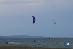 20250426-Franqui-wing-088.jpg