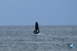 20250426-Franqui-wing-089.jpg