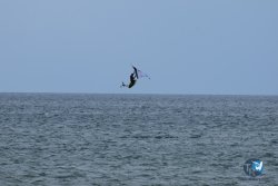 20250426-Franqui-wing-092.jpg