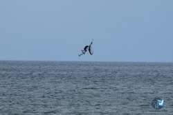20250426-Franqui-wing-093.jpg