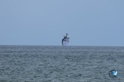20250426-Franqui-wing-095.jpg