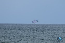 20250426-Franqui-wing-096.jpg