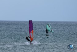20250426-Franqui-wing-099.jpg