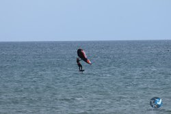 20250426-Franqui-wing-100.jpg