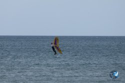 20250426-Franqui-wing-113.jpg