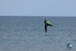 20250426-Franqui-wing-126.jpg