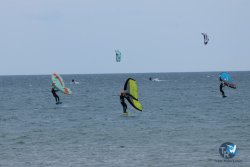 20250426-Franqui-wing-127.jpg