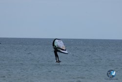 20250426-Franqui-wing-132.jpg