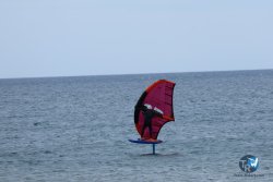 20250426-Franqui-wing-135.jpg