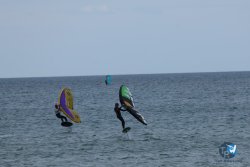 20250426-Franqui-wing-136.jpg