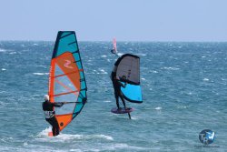 20250427-Franqui-001.jpg
