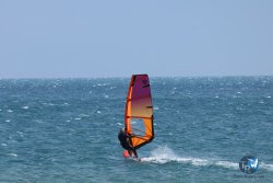 20250427-Franqui-003.jpg