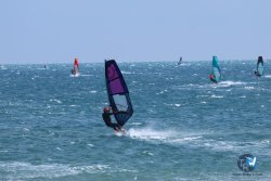 20250427-Franqui-005.jpg