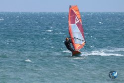 20250427-Franqui-008.jpg