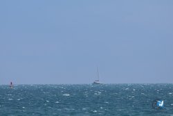20250427-Franqui-010.jpg