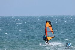 20250427-Franqui-011.jpg