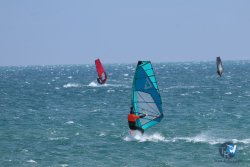 20250427-Franqui-017.jpg