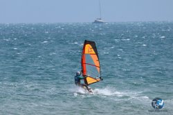 20250427-Franqui-018.jpg