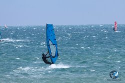 20250427-Franqui-019.jpg