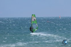 20250427-Franqui-022.jpg