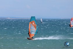 20250427-Franqui-026.jpg