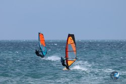 20250427-Franqui-027.jpg
