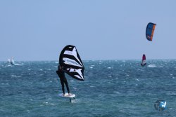 20250427-Franqui-035.jpg