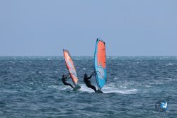 20250427-Franqui-036.jpg