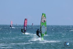 20250427-Franqui-039.jpg