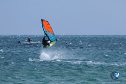 20250427-Franqui-045.jpg