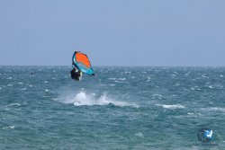 20250427-Franqui-067.jpg
