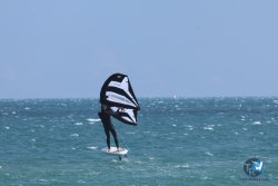 20250427-Franqui-068.jpg