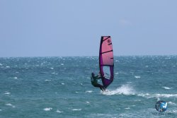 20250427-Franqui-075.jpg