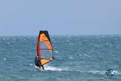 20250427-Franqui-076.jpg