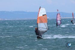 20250427-Franqui-099.jpg