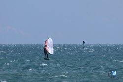 20250427-Franqui-101.jpg